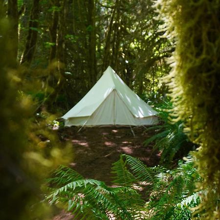 Hotel Wander Camp Olympic Port Angeles Exterior foto
