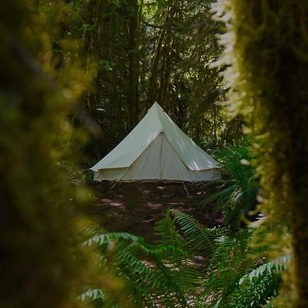 Hotel Wander Camp Olympic Port Angeles Exterior foto